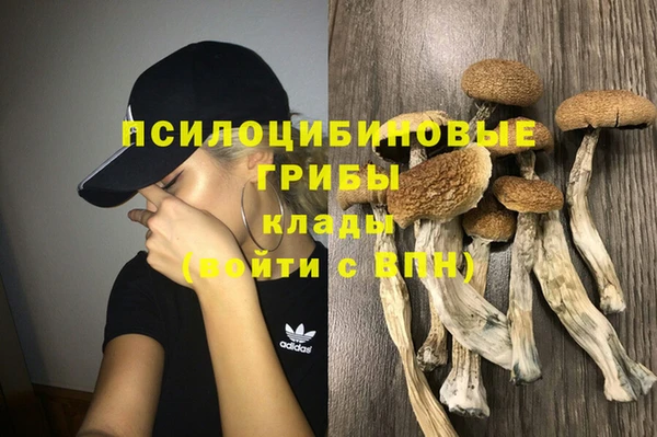 крисы Верхнеуральск