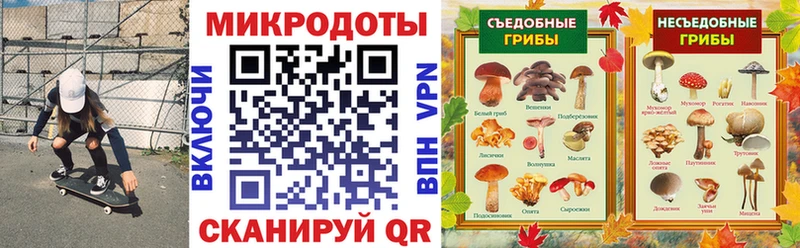 Галлюциногенные грибы Psilocybine cubensis  что такое   мега   площадка официальный сайт  Семилуки 
