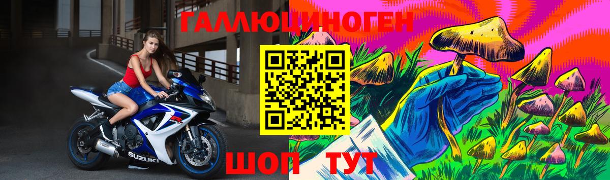 Галлюциногенные грибы Psilocybe Семилуки