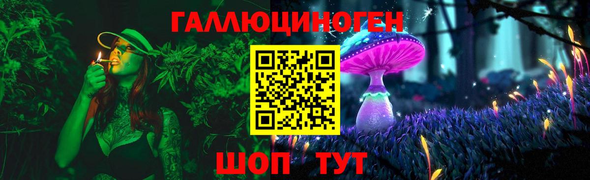 Псилоцибиновые грибы Psilocybine cubensis  Семилуки  Галлюциногенные грибы прущие грибы 