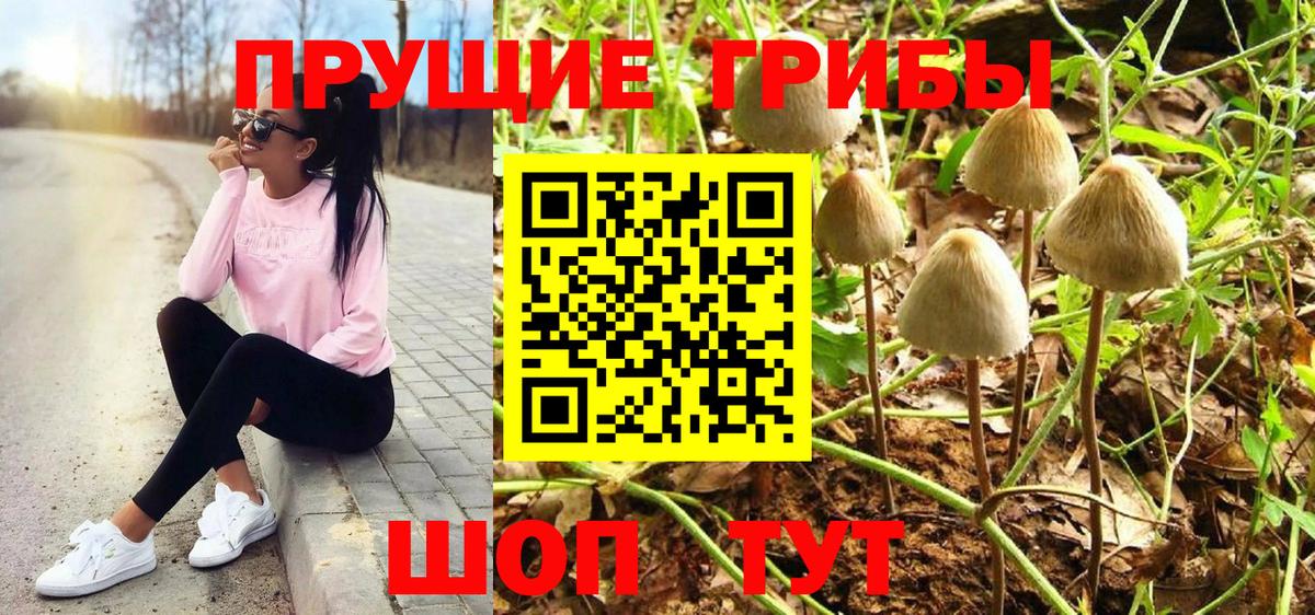 Семилуки  Псилоцибиновые грибы прущие грибы  Вход с VPN 